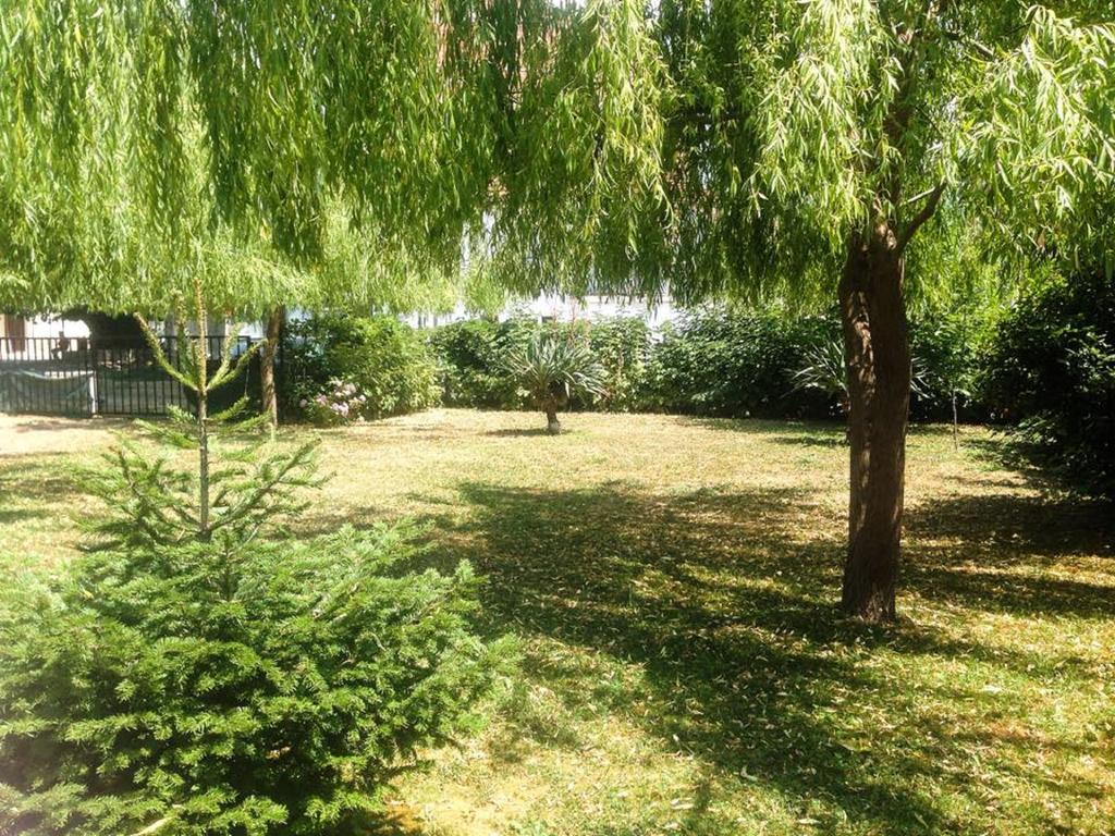 Villa Amsterdam Охрид Екстер'єр фото
