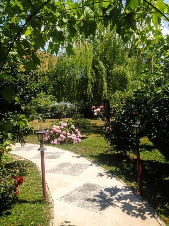 Villa Amsterdam Охрид Екстер'єр фото